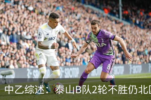 中乙综述：泰山B队2轮不胜仍北区第2，贵阳竞技告负蒲公英战平