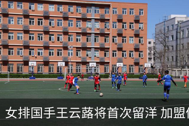 女排国手王云蕗将首次留洋 加盟俄超莫斯科迪纳摩