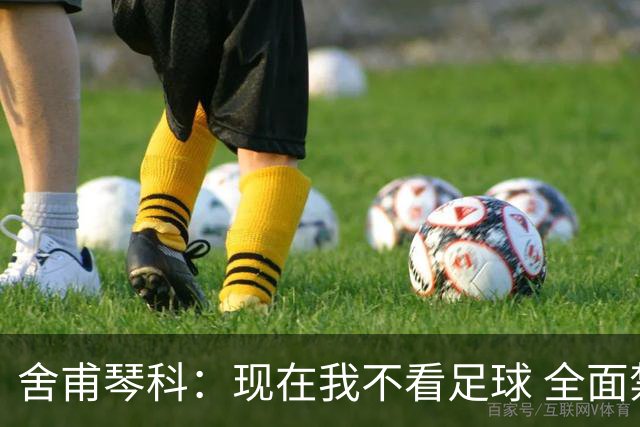 舍甫琴科：现在我不看足球 全面禁赛俄罗斯很正确